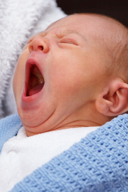 baby-19295_640 (1)